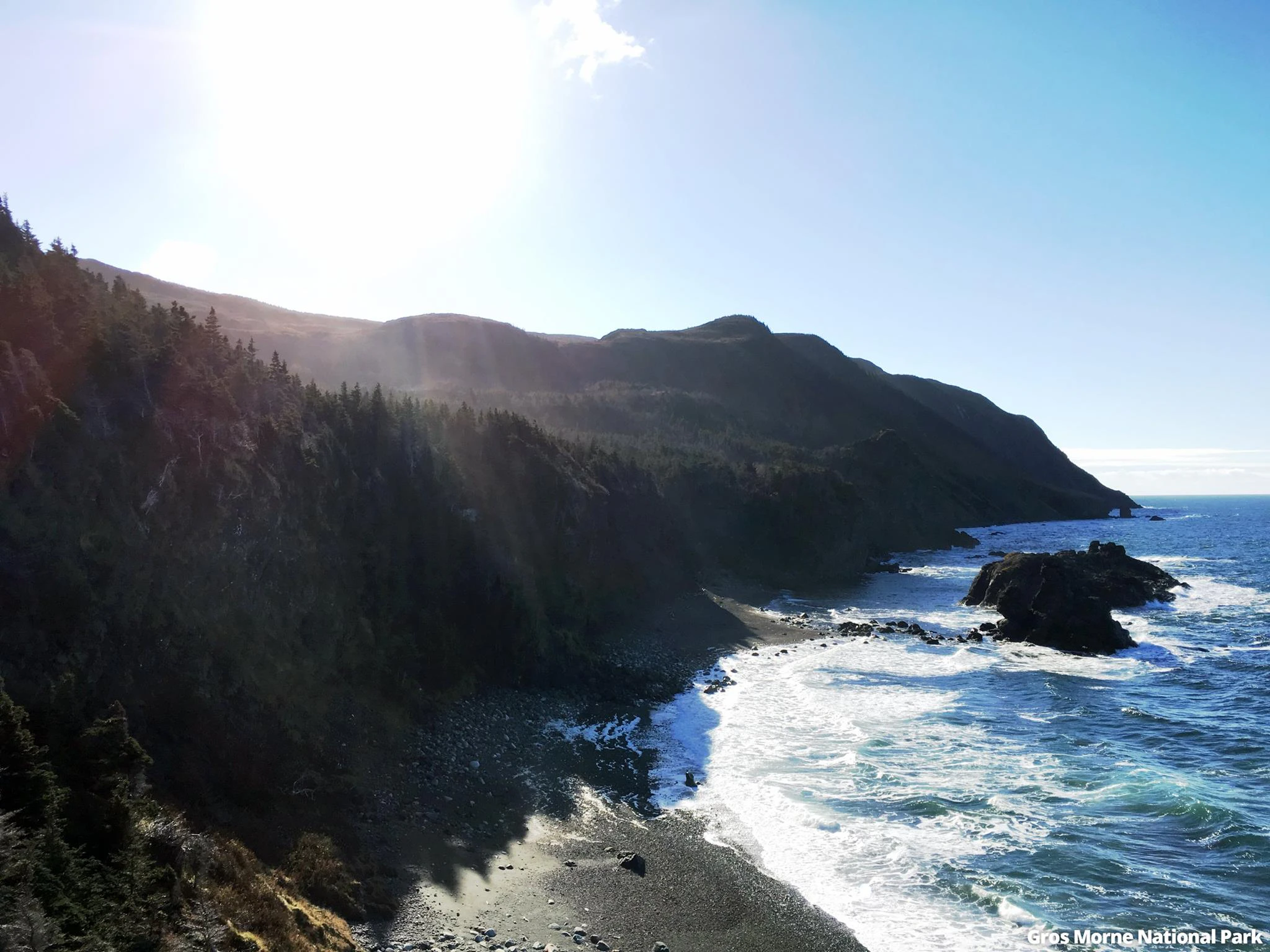 Jerad Maplethorpe cover