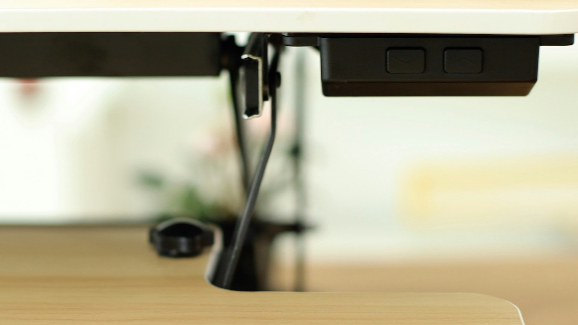 Fitfit gallery image