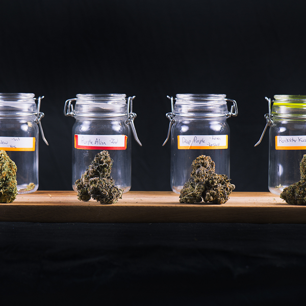 Weedly gallery image