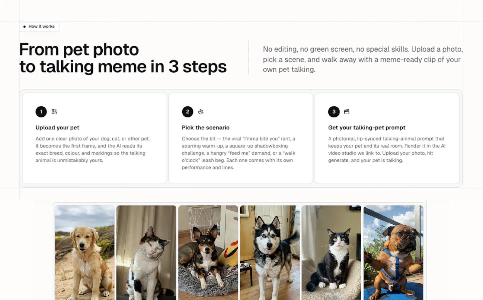 Talking Pet Video Prompt Generator screenshot 2