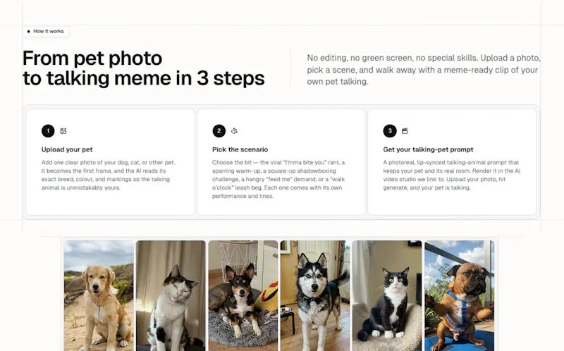 Talking Pet Video Prompt Generator screenshot 2