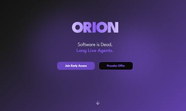 ORION gallery image