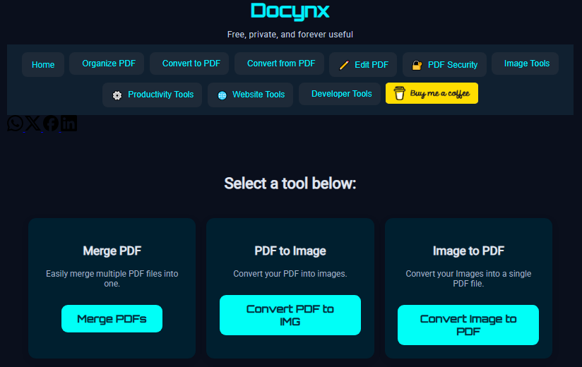 Docynx gallery image