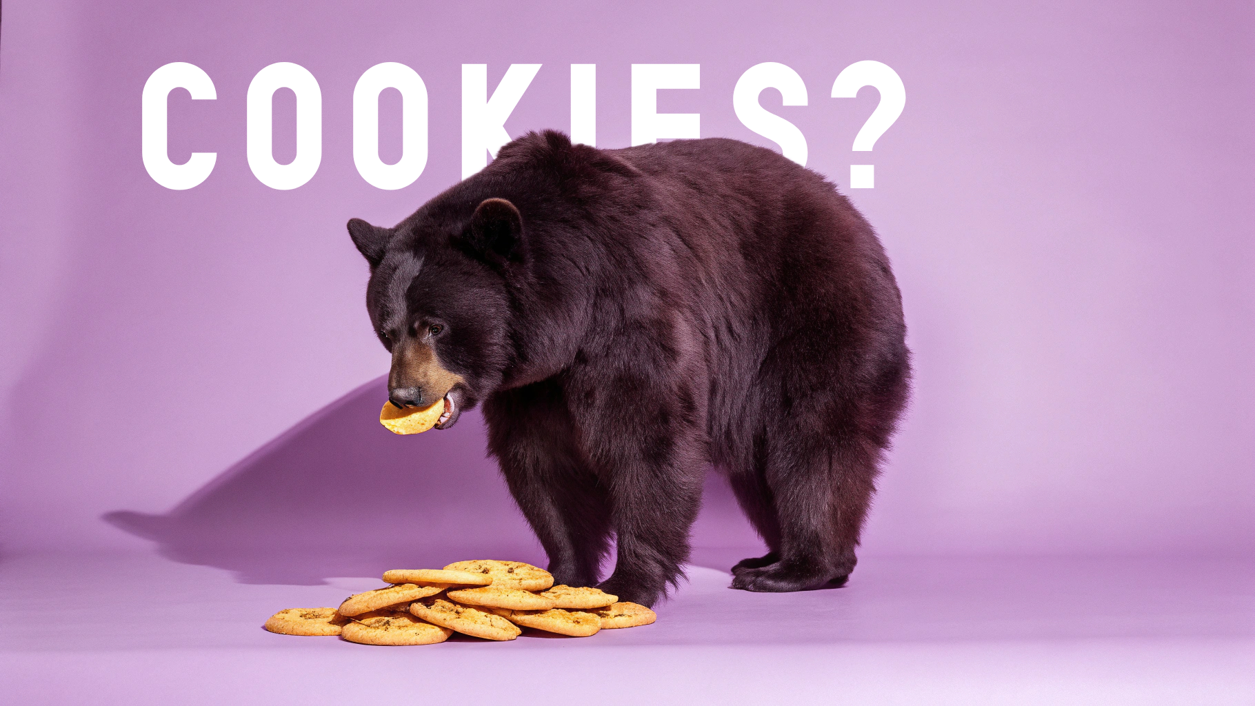 Layermask gallery image