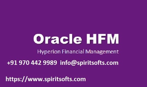 Aprenda treinamento em HFM com especialista em tempo real