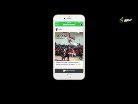 Gipper gallery image