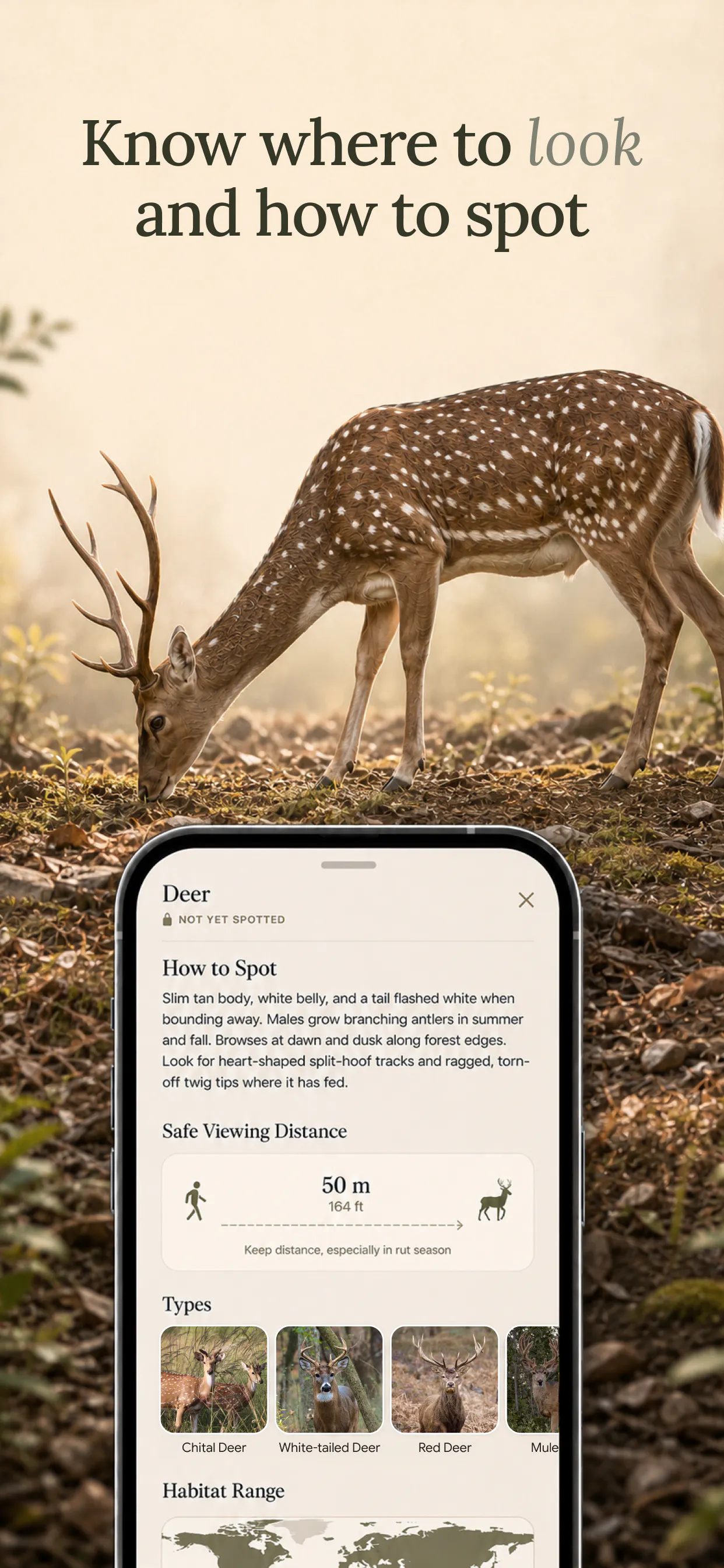 Fauna App Launch gallery image