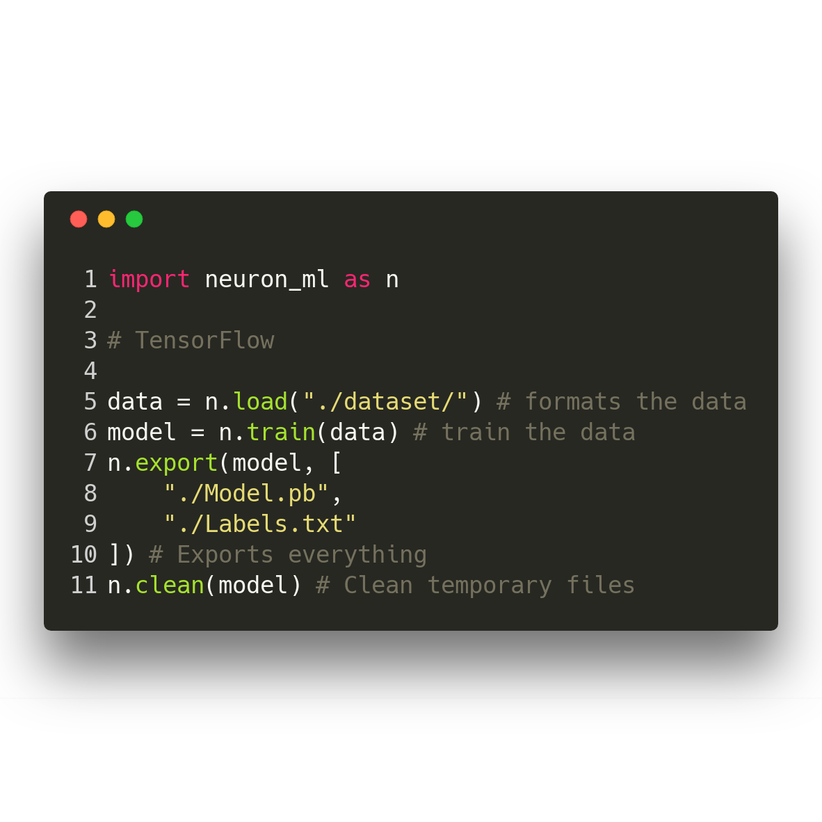 Neuron gallery image