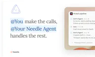 Needle