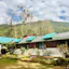 Resorts in Palampur with Swimming Pool