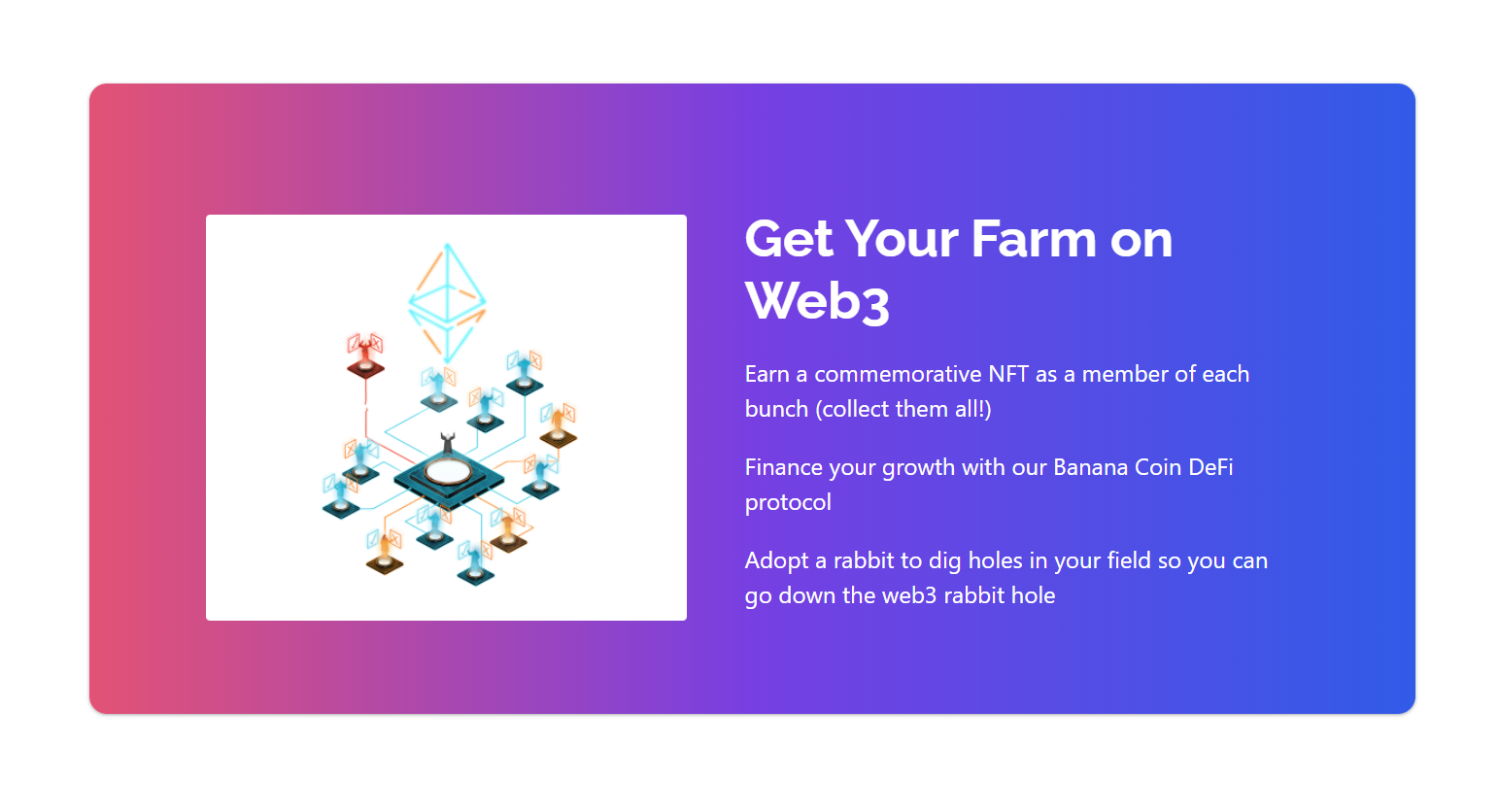 Banana Capital Accelerator gallery image