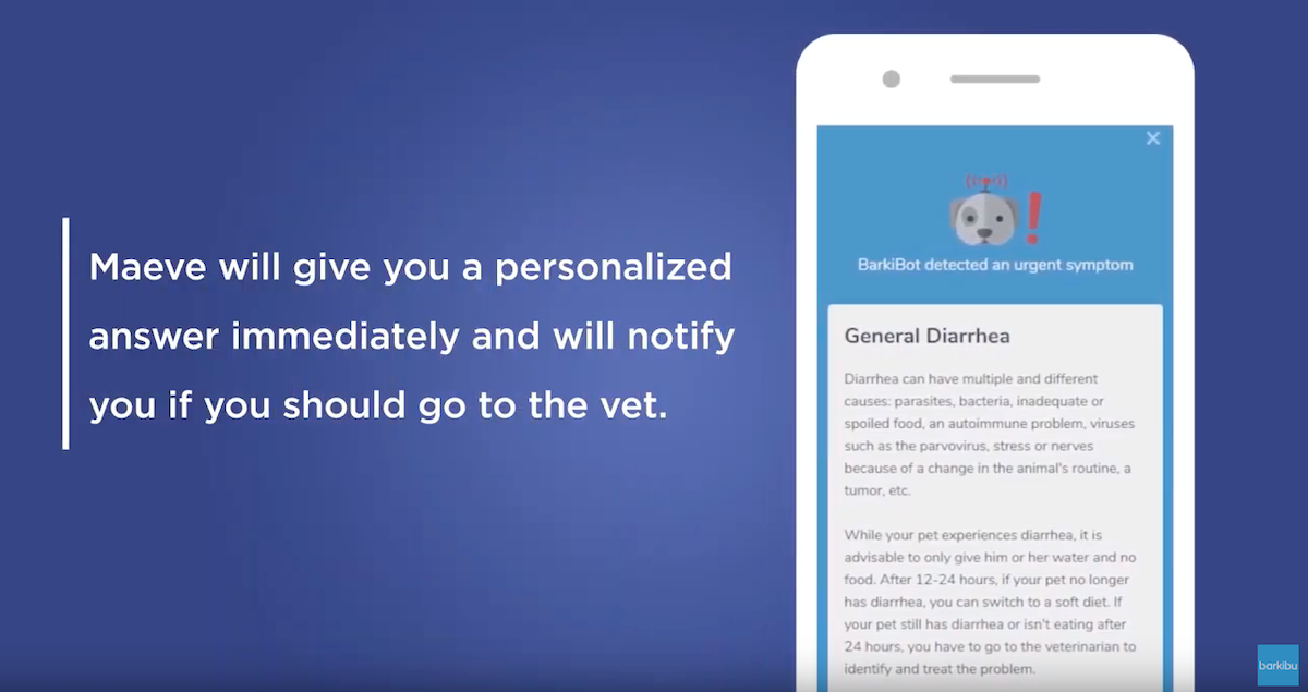 Maeve by Barkibu gallery image