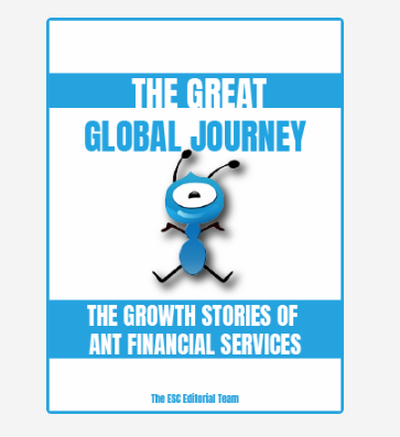 Ecommerce Strategy China gallery image