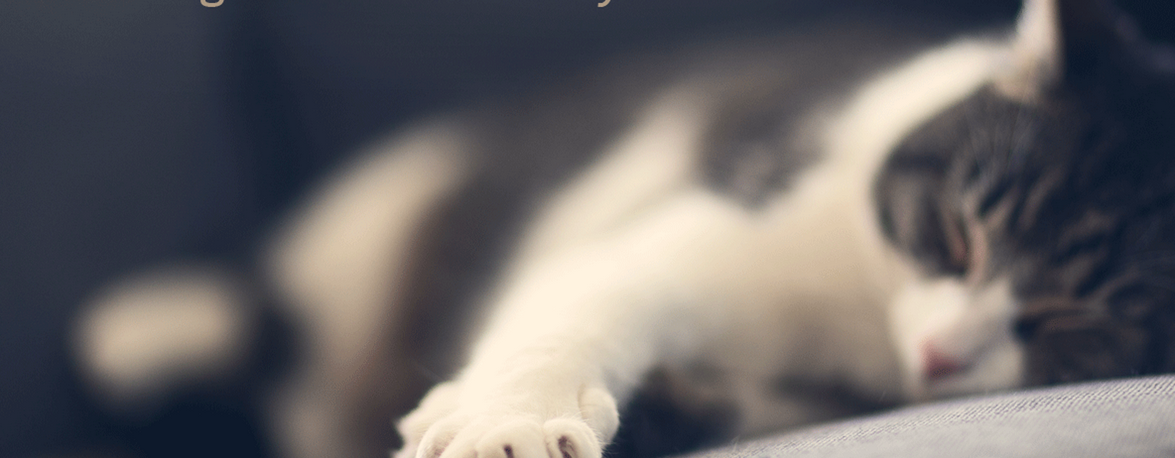 WFH Ninja gallery image