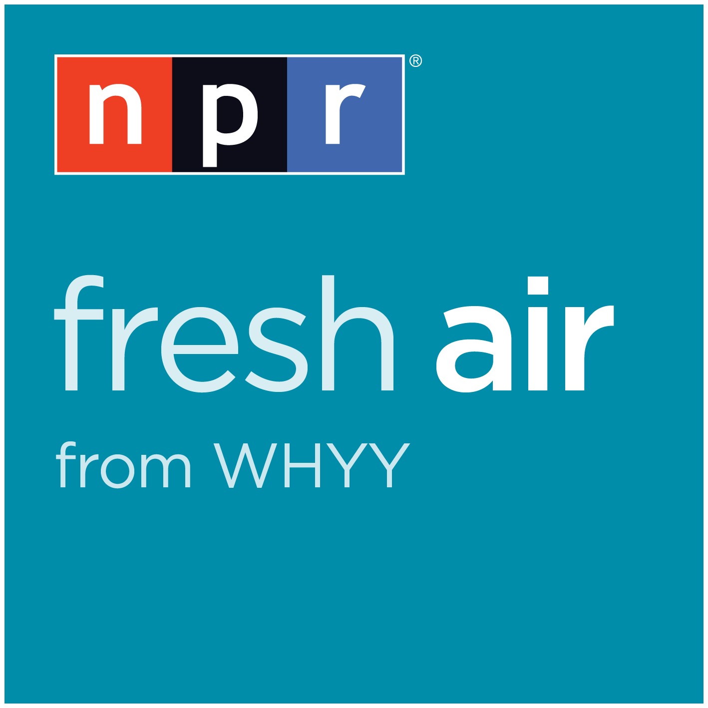 Fresh Air - Amy Poehler