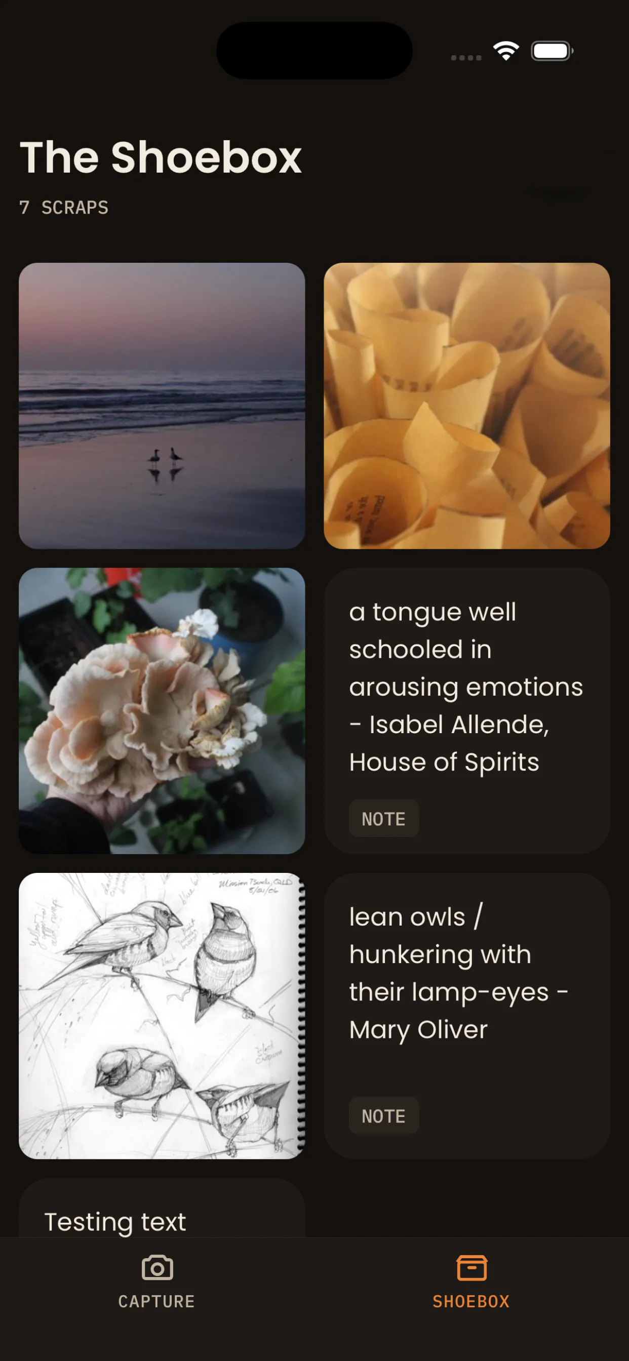 Creative Habit gallery image