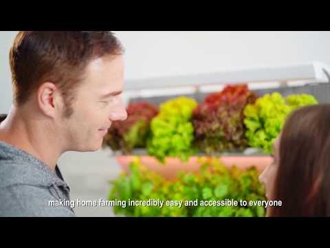 Herbitat gallery image