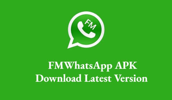 FM WhatsApp APK Download media 1