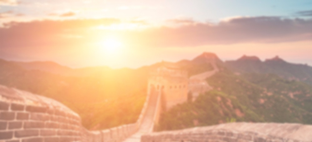 Zizzle gallery image