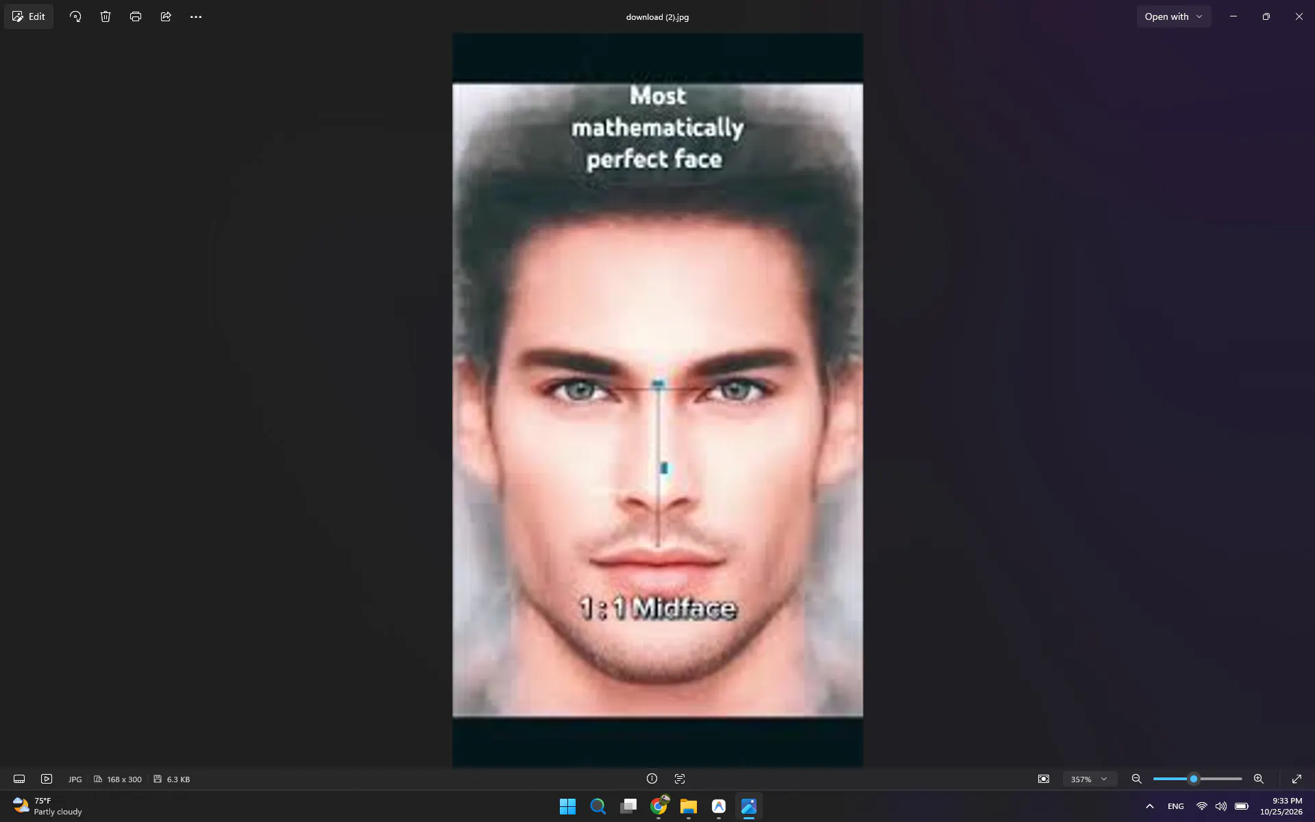 FaceIQ logo