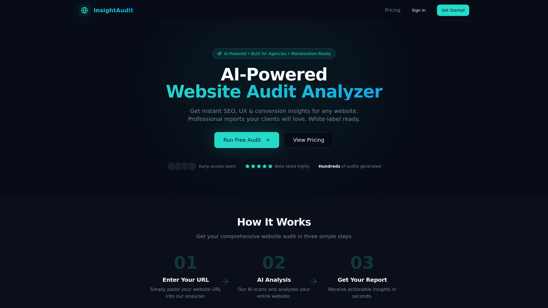 InsightAudit - Main product screenshot demonstrating key features and user interface