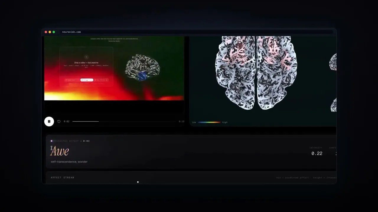 NeuroVidz gallery image