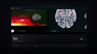 NeuroVidz