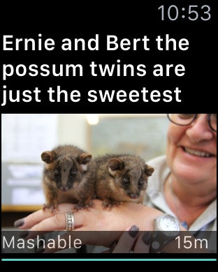 Newspot gallery image