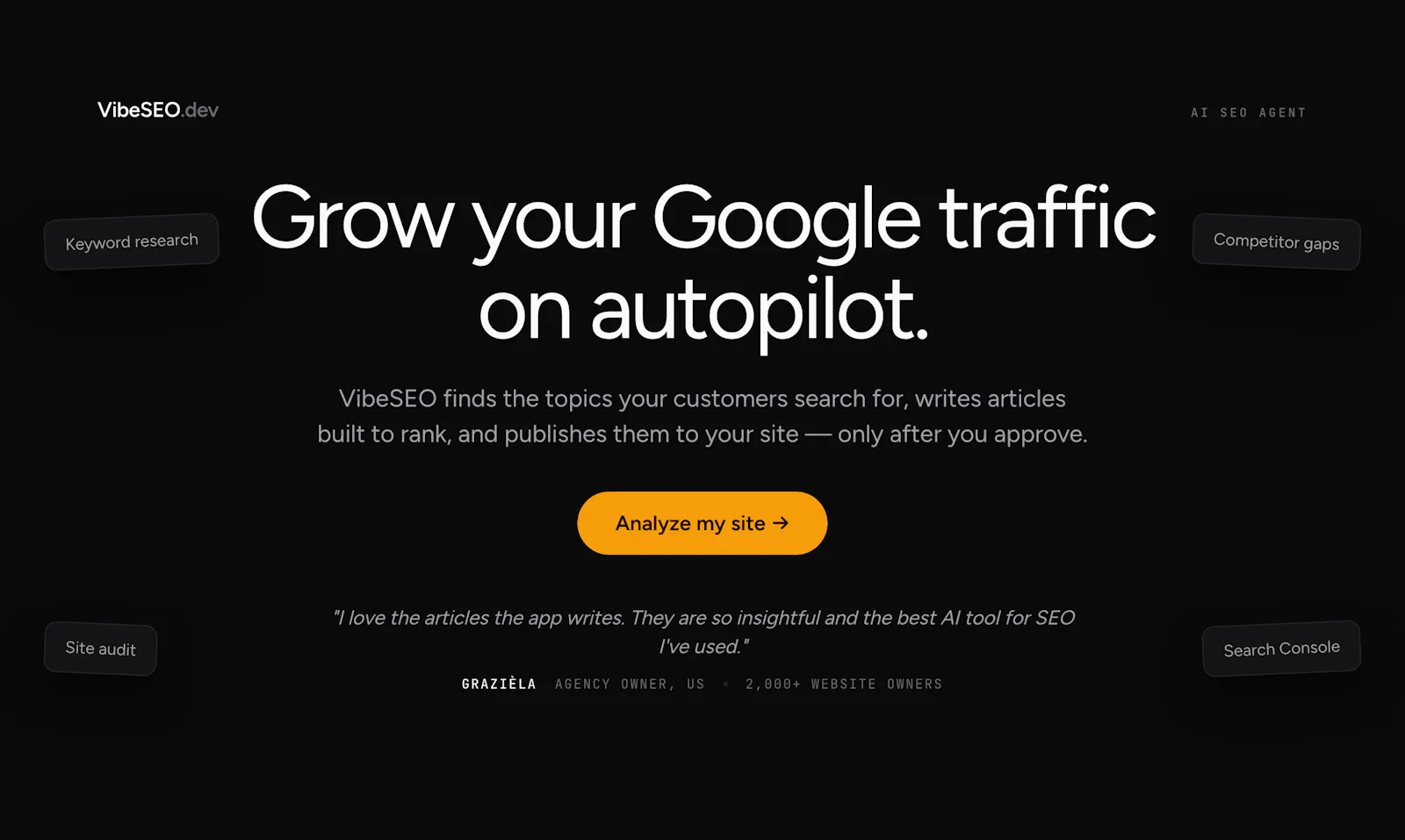 VibeSEO screenshot 1
