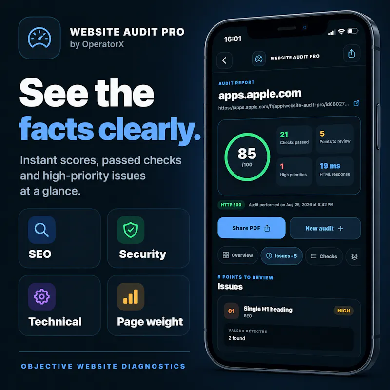 Website Audit Pro screenshot 2