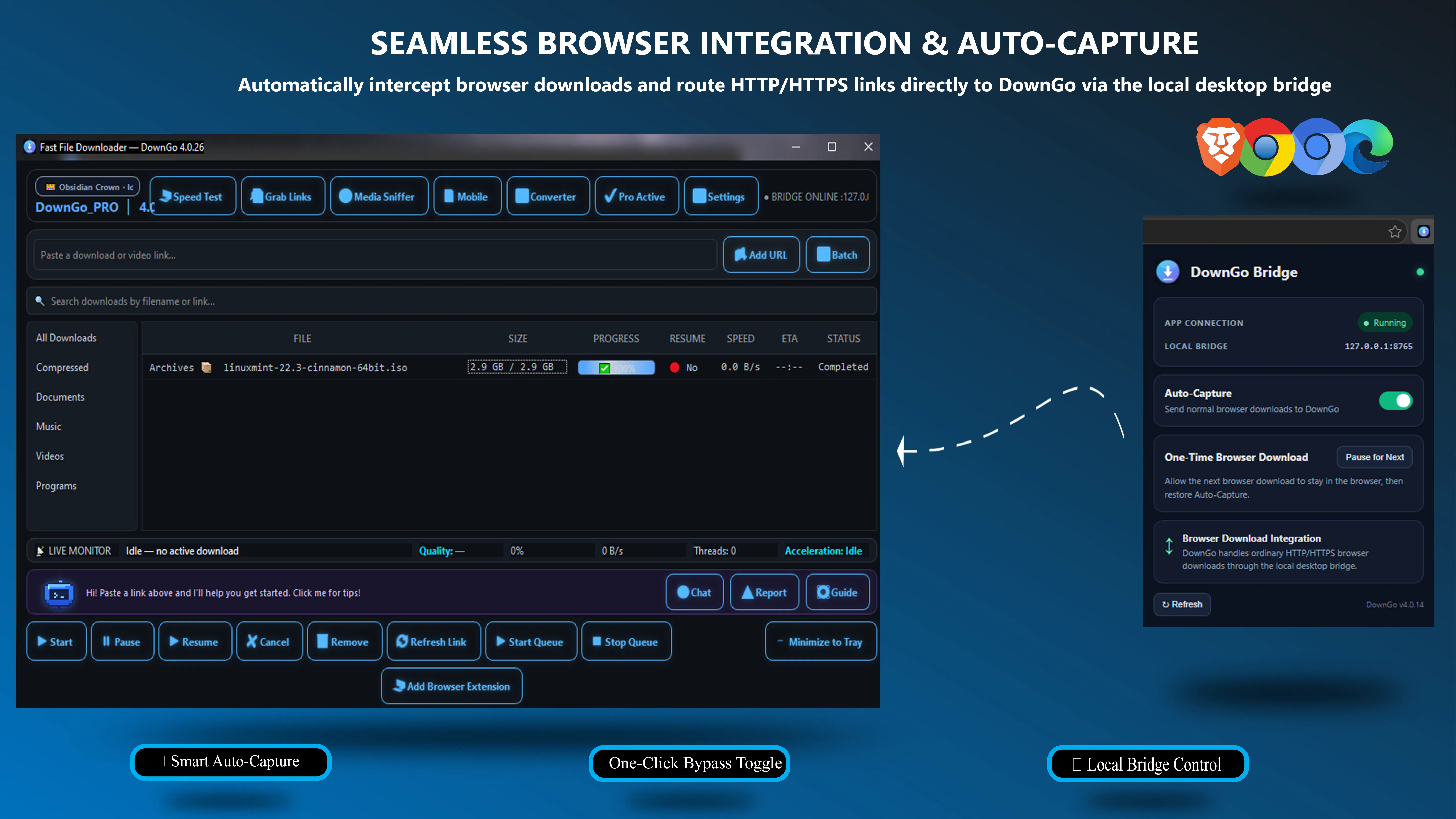 DownGo -Fast Download manager gallery image