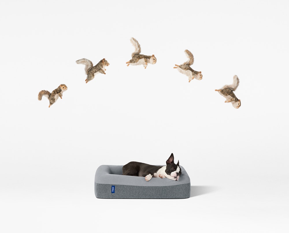 Casper Dog Mattress gallery image