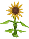 Grow A Garden Calculator gallery image
