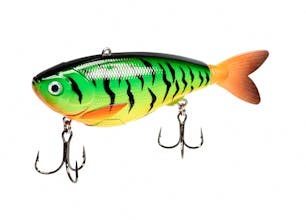 eMinnow gallery image