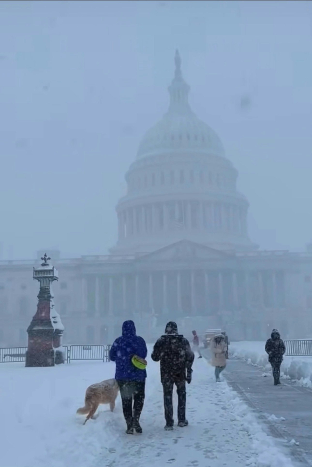 ClearView Basic&Pro gallery image