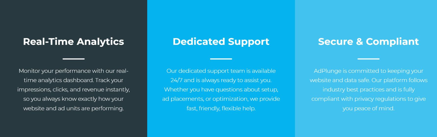 AdPlunge - Screenshot 4 showing product features and functionality