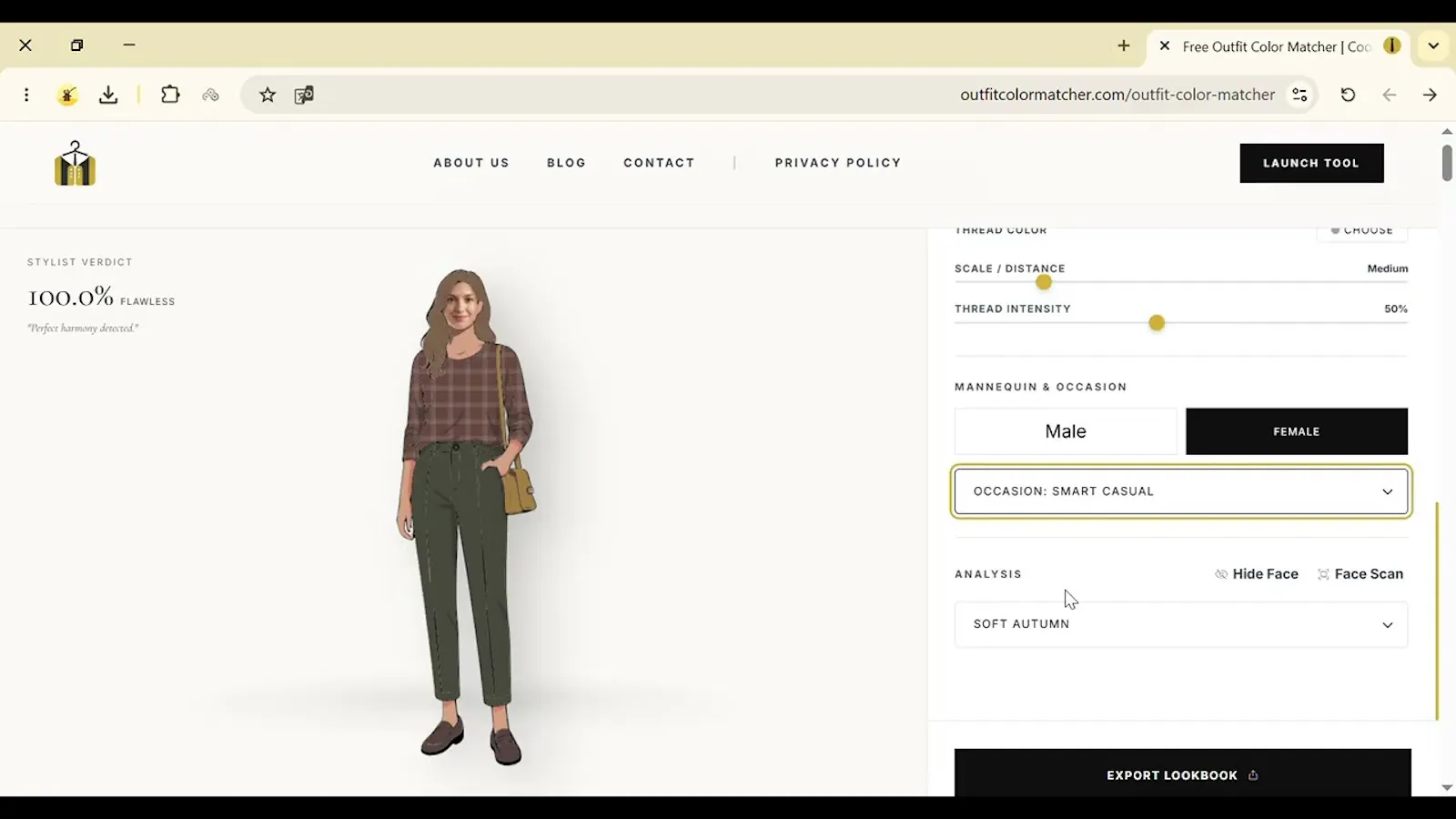 Outfit Color Matcher screenshot 1 (video preview)