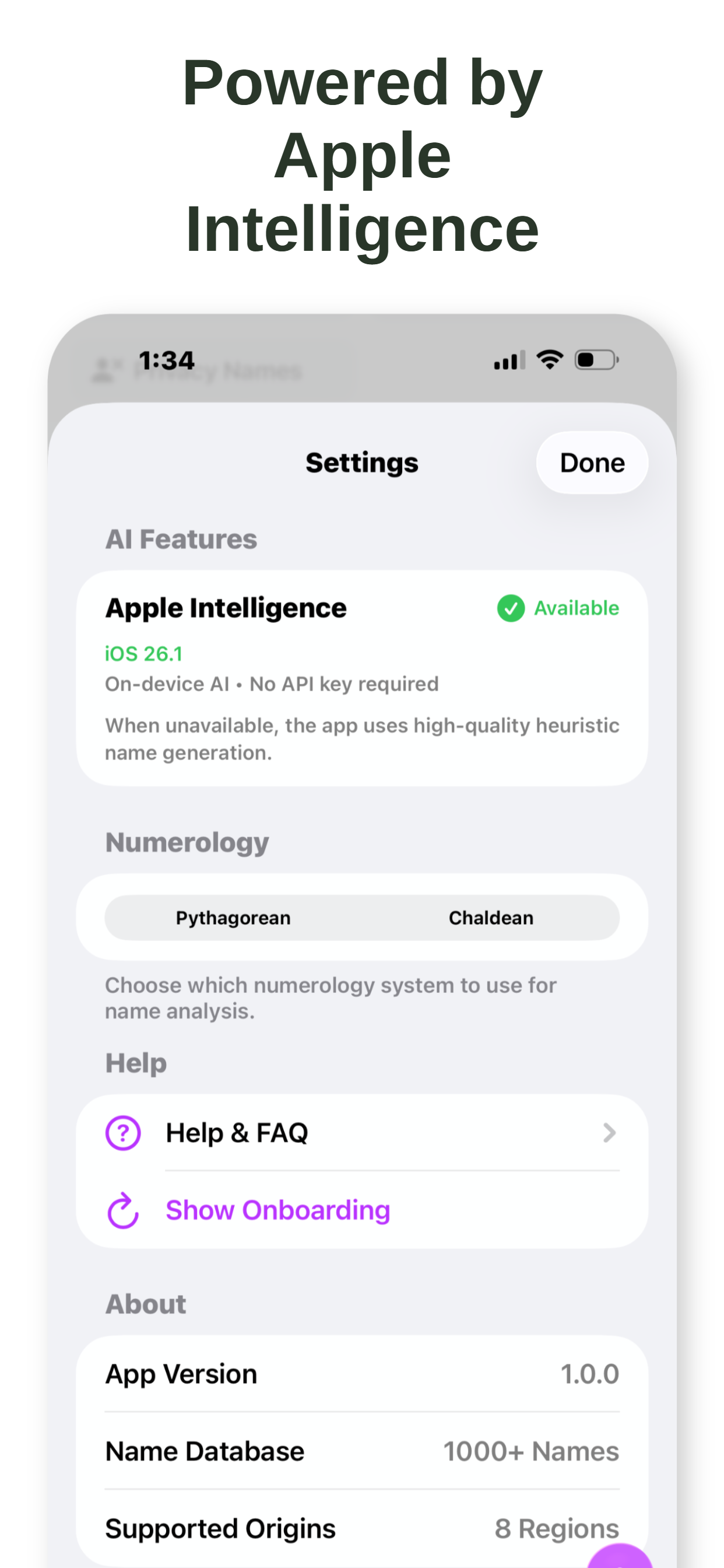 Name Generator Pro - Main product screenshot demonstrating key features and user interface