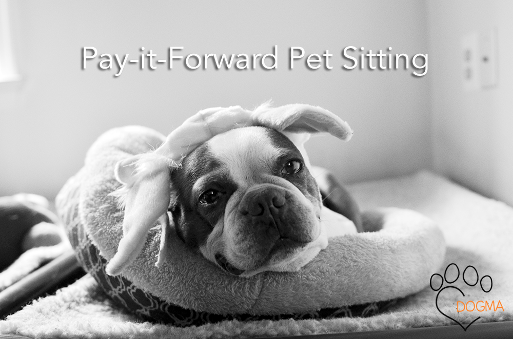 Dogma.me gallery image