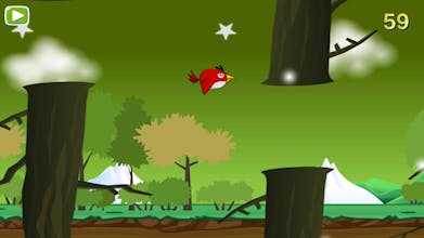 Silly Bird gallery image