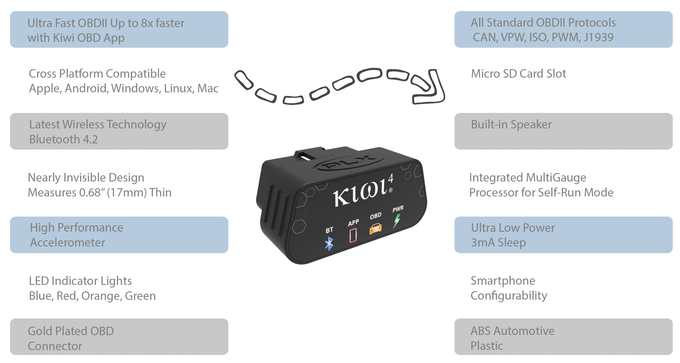 Kiwi 4 gallery image