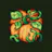 Focus Farming: Gamified Focus Timer