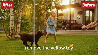 ObjectRemover gallery image