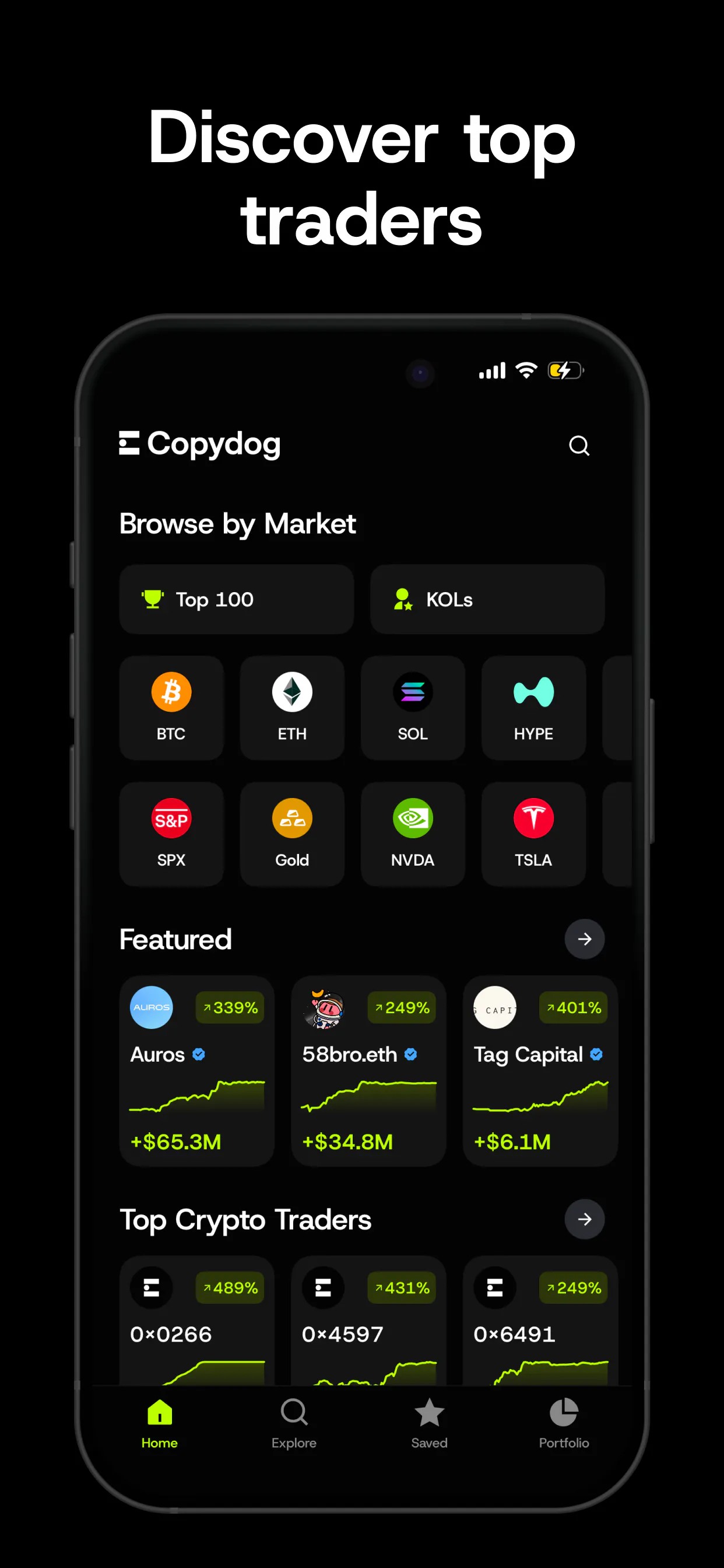 Copydog gallery image