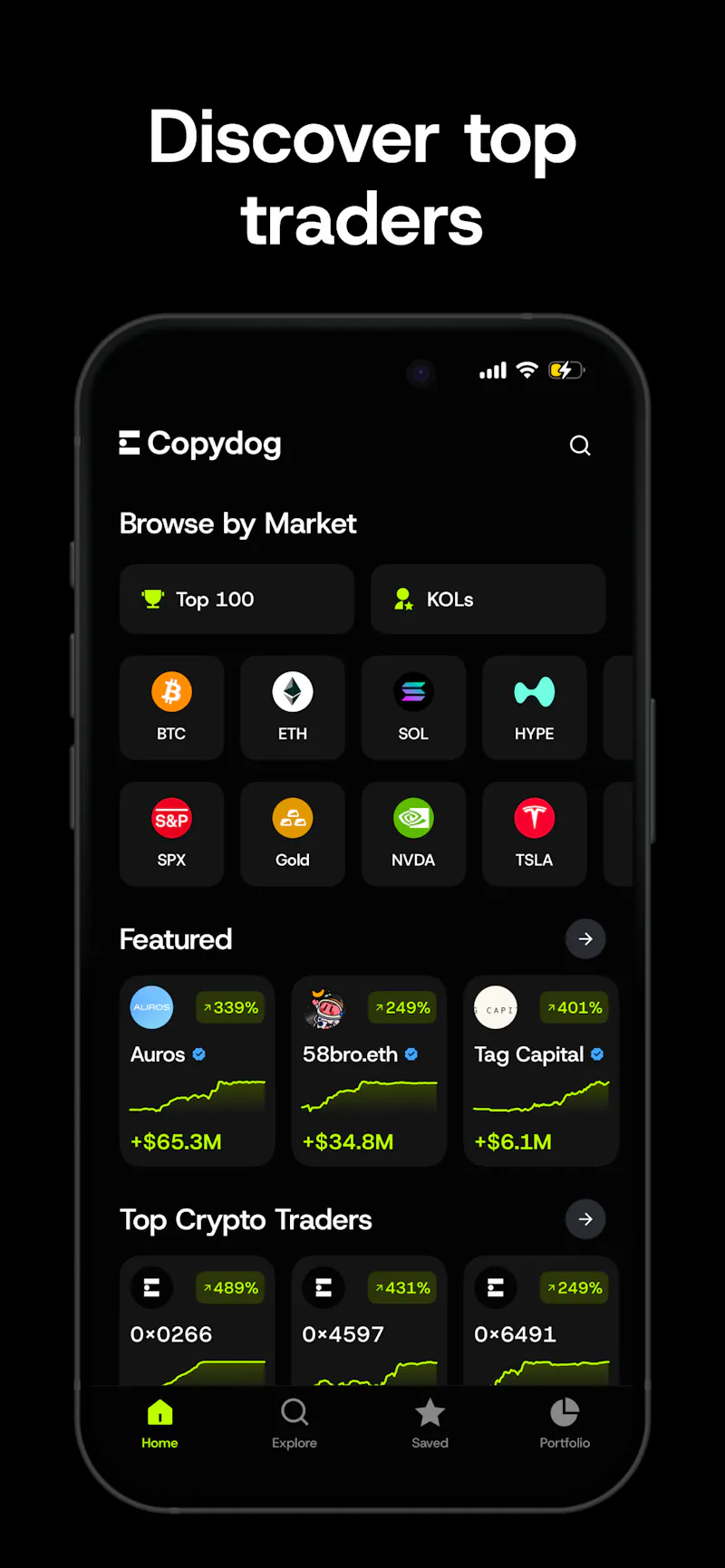 Copydog screenshot 2