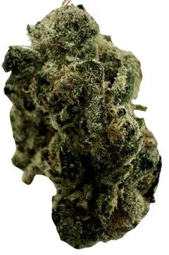 Slurriboof (Hybrid) - 5 Minute Weed DC 專案橫幅