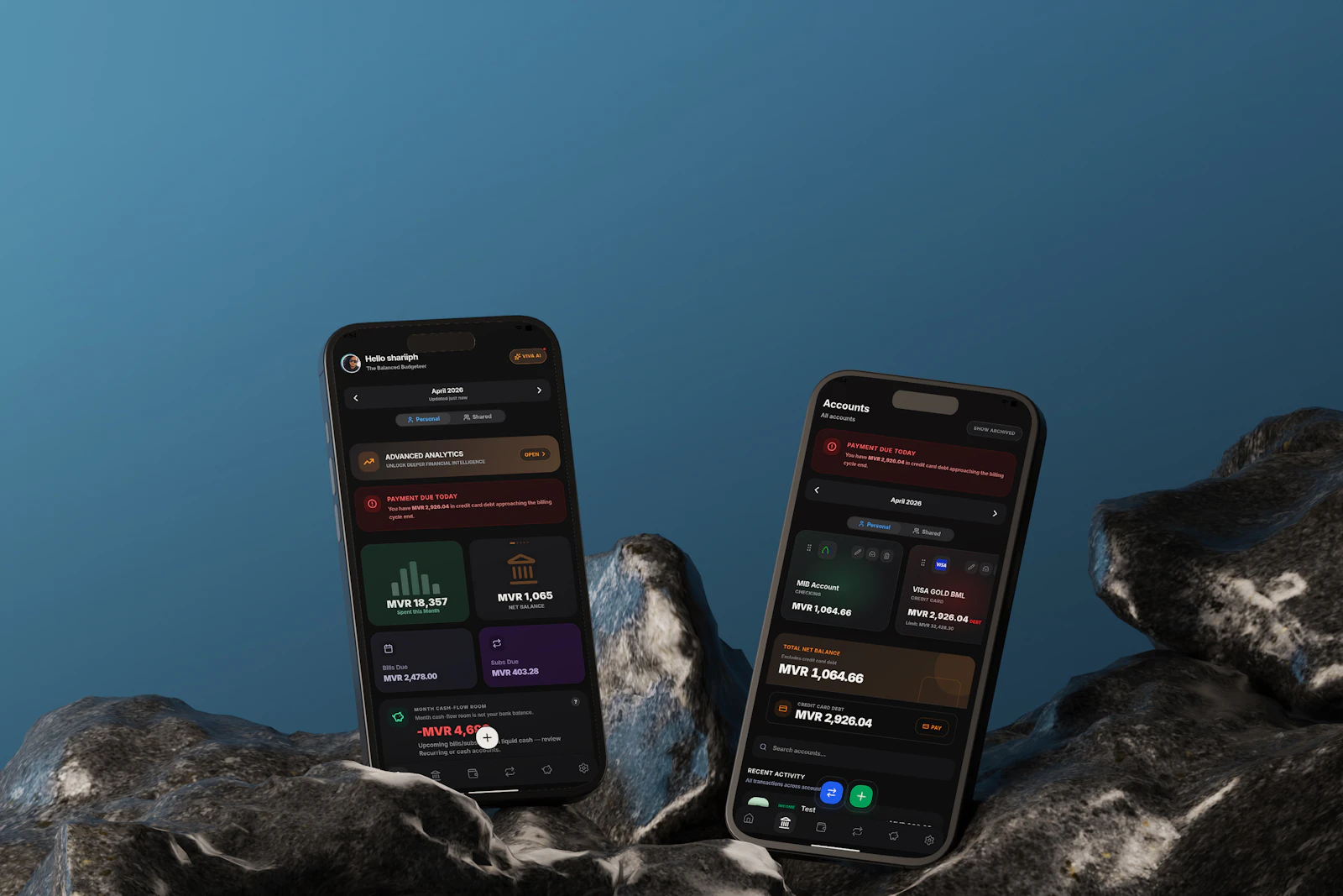 Viva Expense Tracker screenshot 2