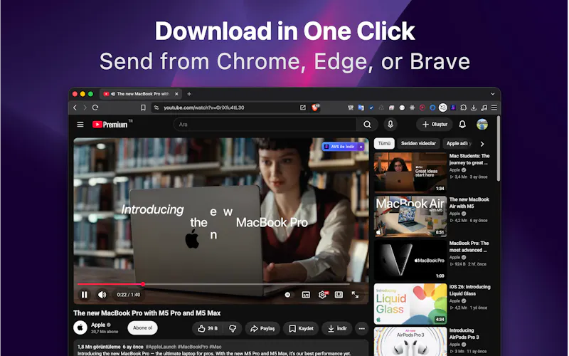 AVS Download Manager screenshot 3