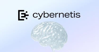 Cybernetis.ai gallery image