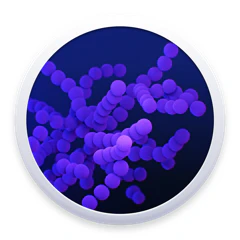 CoronaVirus Outbreak Tracker